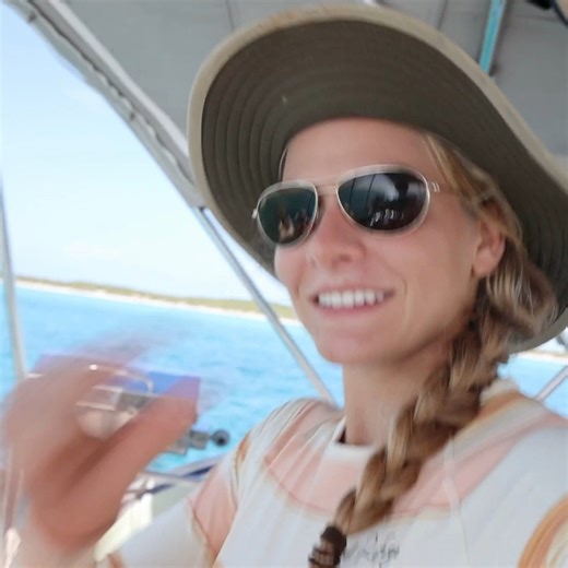 16K views · 388 reactions | Footage of dingo learning to use his back legs to swim | Expedition Evans | Facebook