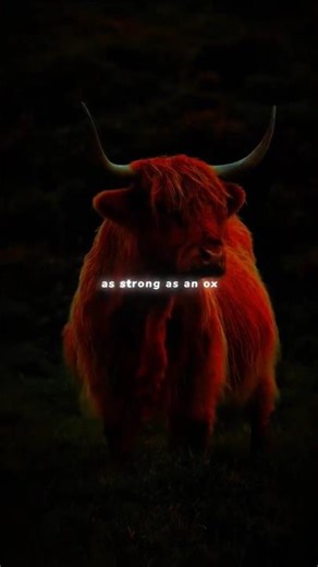 Everything at Once - Lenka |lyrics |aesthetic|whatsapp Status |Englishsongs |slowed |sped up 💞