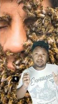 The Myths of Africanized Honey Bees#facts #shortvideo #killerbees