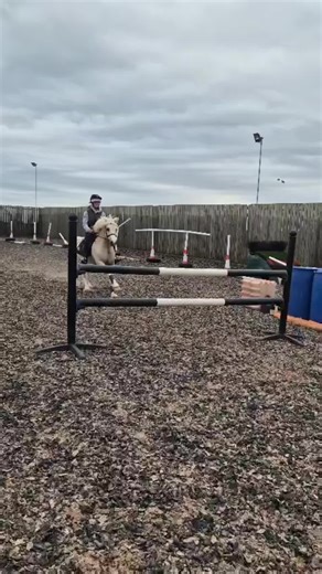 darcy (@darcyandherponies_)’s videos with Mercy UK Garage Remix - sidehopmusic