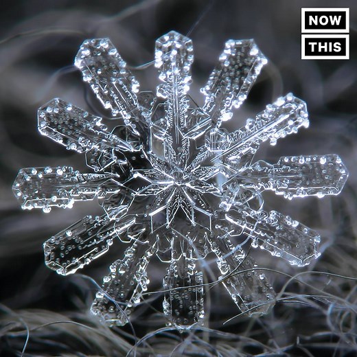 These up-close photos of snowflakes are incredibly fascinating | NowThis