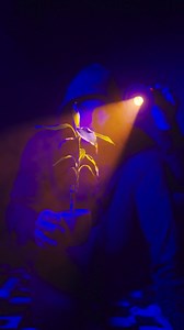 🌟 Attention, all Creators! It's time to change the game and catch the new trend. 🚀 The ideal partner for creative video, portrait photography, and innovative product shoots has arrived. 📸 Light up your indoor scenes with 4 color shades. Equipped with 20 light filters. ✨ Craft photo and video masterpieces effortlessly with the highly versatile SmallRig RF 10C LED Video Light. 🛒Just $52.99.Buy now to elevate your visual storytelling to new heights! Video by @robsonmifilms #SmallRig #VideoLight