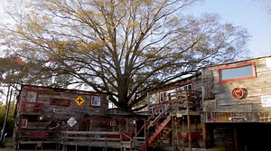 Have you ever seen a 13,000 sq. ft treehouse? 🌲Willie "Buddy" Melvin built one in Roseboro in Sampson County Convention & Visitors Bureau! Join Buddy below as he takes you on a tour - you'll be amazed at what's inside! | Visit North Carolina