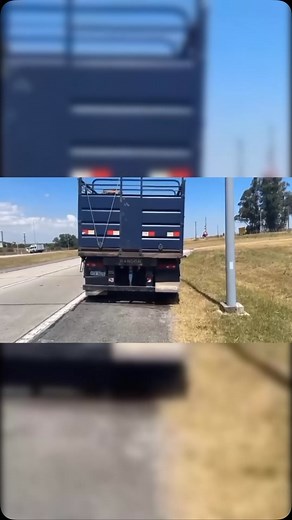 🔴🐮 En plena ola de calor, dejaron una zorra repleta de ganado en pie a la entrada de Boca del Cufré Al rayo del sol. Una zorra de gran porte, cargada con ganado vacuno en pie, quedó estacionada este viernes 17 de enero en horas de la tarde a la altura del kilómetro 101 de la ruta 1, muy cerca del ingreso al balneario Boca del Cufré. El hecho quedó registrado en video y desató una ola de indignación entre protectores de animales y usuarios de redes sociales. La nota completa 🔗 https://sanjosea