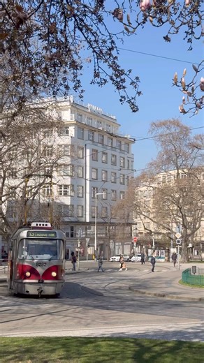 52K views · 1.8K reactions | Officially the first day of spring  Spring equinox ☀️ | PragueToday | Facebook