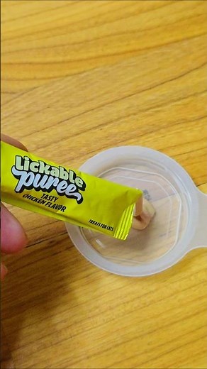 Temptations Lickable Puree Cat Treat Review | (Honest Review 😻)