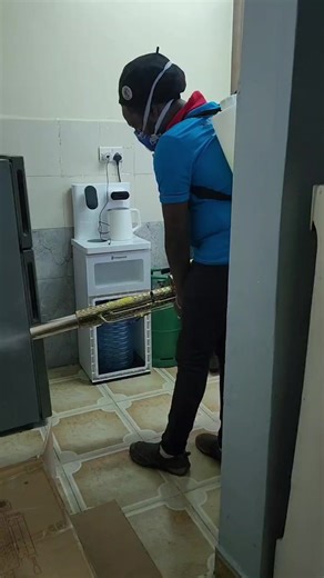 Effective Fumigation Techniques for Home Cleaning