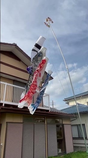 はねぼう 山本寛斎 東旭 東レナイロンエアスター鯉のぼり #鯉のぼり #こいのぼり #carp streamer