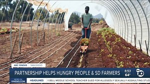 Local farm program that fed thousands faces uncertain future after federal cuts