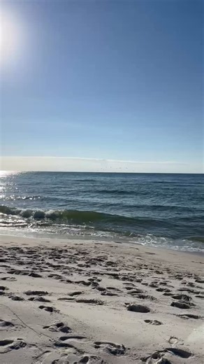 335 reactions · 16 shares | Tuesday October 21, 2025 Gulf Shores...