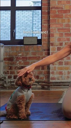 Your Christmas boost...🤣💪💕 #pilates #pilatescore