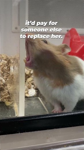 Buying Them Doesn't Save Them 💔🐹🦜