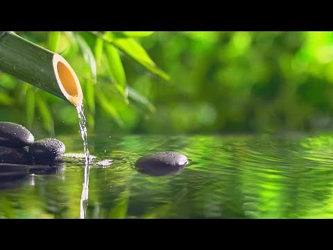 Relaxing Piano & Water Sounds 💧 Radio