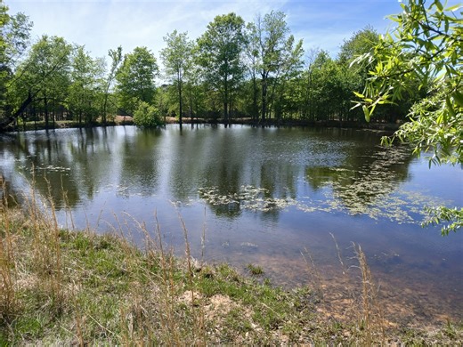 United Country Wildlife Land Group - 158± Acre Multi-Use Ranch & Hunting Property Near Antlers, OK