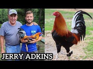 TRIO‼️Green Leg Sweater 20k Kelso Cardinal Club Hatch | Slick Lizard Farm Visit Alabama USA