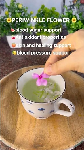 Benefits of PERIWINKLE FLOWER TEA 🍵 🌸#youtubeshorts #periwinkle #medicine #healthtips #selfcare