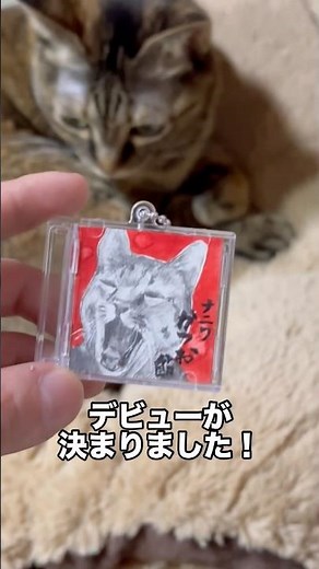[100 Yen Shop] Let's make miniature CDs of our favorite idols!