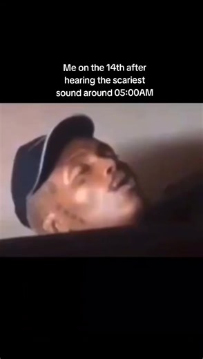 Teddy memes (@teddy.memes4)’s videos with original sound - Teddy memes