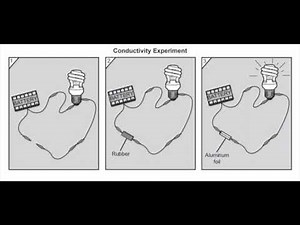 Summarize an Academic Presentation (ELPAC Practice Test Grades 3-5)