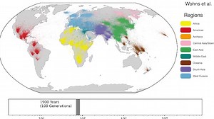 27m people linked by scientists in world's largest family tree