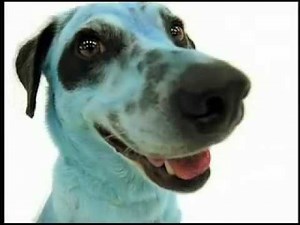 The Movie Channel - Feature Presentation ID (1997)