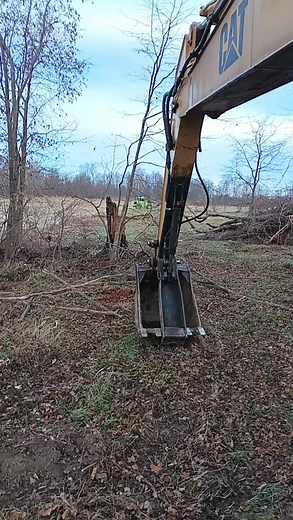 Morning time with two of my favorite cats. | Micheal Sullivan