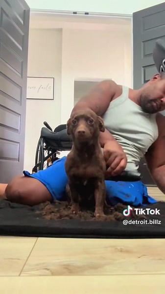 Last Summer Haircut for My Dog