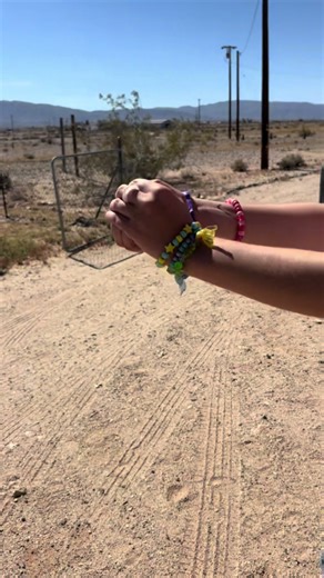 PLASMIC (@plasmic)’s videos with Butterfly - SMiLE.dk