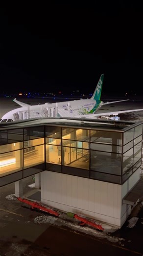 2026.2.4 函館空港 ANA国際線機材 ANA Green Jet 特別塗装機 Boeing 787-8 Dreamliner B788 (JA874A)