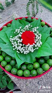 Tráp xin dâu cho nhà Đại Gia#ticktock2022 #hoanghethuat