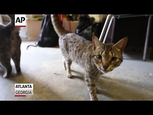 Program lends hand to low-income animal owners