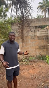 1.3M views · 28K reactions | please come to my rescue my uncle is after my lyfe after collecting all the plots of land belonging to my dad, he has sold the only one left | Mc Dave Comedian | Facebook