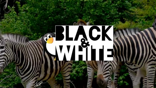 From shadows to shapes, our