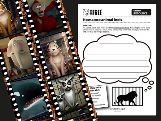 Zoo Animal Diary - KS1 English Worksheet | Teaching Resources