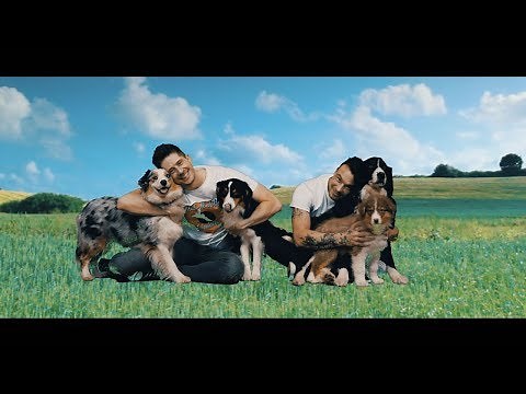 SDP - Das Lied (feat. Bela B)