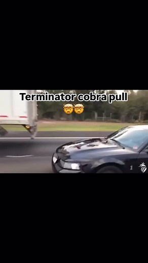 Terminator cobra pull🐍🐍 listen to that supercharger whine 📸 : @terminatorfactory If you enjoy black car content shoot me a follow that’s all I post for y’all @therealdarkfleet 🙌🏽🖤 —————————————- -Hashtag: #Darkfleet 🖤🖤🏴‍☠️ ———————————————- —————————————————— —————————————————— #ford #terminator #cobra #terminatorcobra #shelby #supercharged #whine | Therealdarkfleet Connected Page