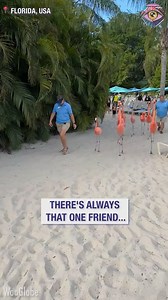 Flamingo catwalk goes wrong | Bulky-Talkie
