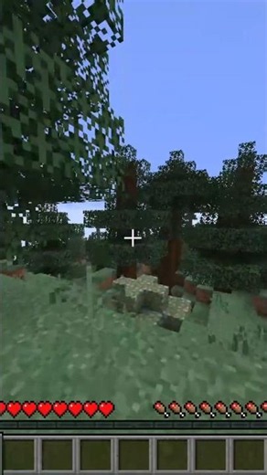 Why is mossy cobblestone like this?! #minecraft #gaming