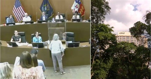 Despite historic Detroit neighborhood's fight against steam line installation, project moves ahead