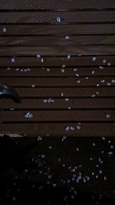 春驟雨：詩意盎然的春日細語
