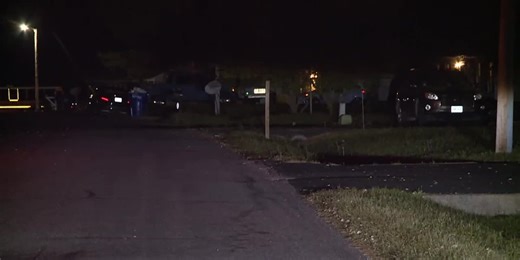 Woman working in garden killed by falling tree on Easter, police say