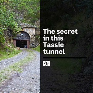 203K views · 117 reactions | What lives inside this historic Tassie train tunnel? 樂 Check out Movin' To The Country on ABC TV + iview: https://ab.co/MovinToTheCountry | ABC Northern Tasmania | Facebook