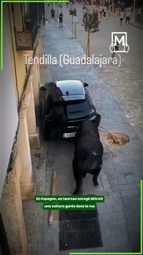 En Espagne, un taureau enragé détruit une voiture garée dans la rue
