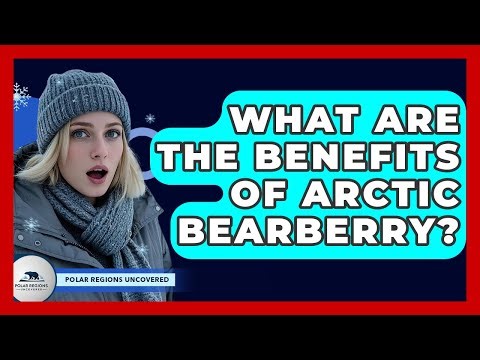 What Are The Benefits Of Arctic Bearberry? - Polar Regions Uncovered