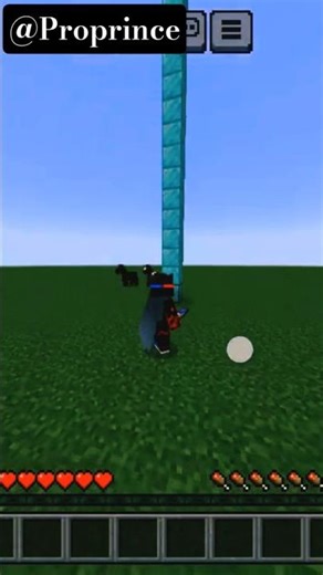 Elytra!! 💀💀 #minecraft #shorts