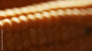 a cob of corn in a 360 degree rotating display case in close-up