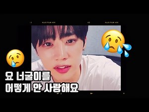 [더보이즈] 눈물 젖은 너굴이 복습 편 (선우)