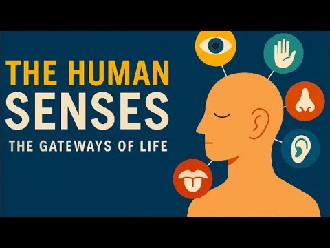 “The Human Senses — The Gateways of Life”