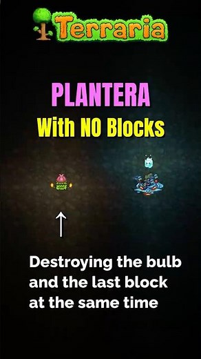 Terraria: NO BLOCKS PLANETERA?!