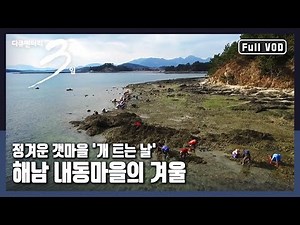 [다큐3일★풀버전] 🤱🏻자식 키우고 가족을 지켜온 갯마을 🙎🏻‍♀️어머니들의 훈훈한 겨울 이야기 "어머니의 꿀밭 - 해남 내동마을의 겨울" (KBS 20160131 방송)